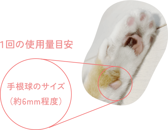 usage_img02