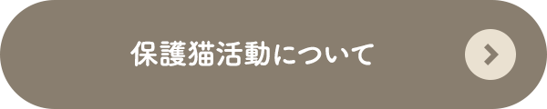 保護猫活動について